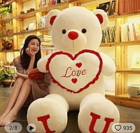 Mr. TEDDY Mr. TEDDY