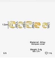 Special Ear Clip EarRings Special Ear Clip EarRings