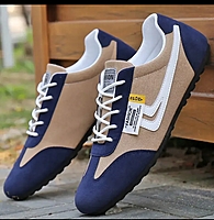 Low Top Slim Classic Healless Canvas