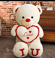 Mr. TEDDY Mr. TEDDY