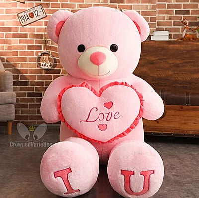 Mr. TEDDY