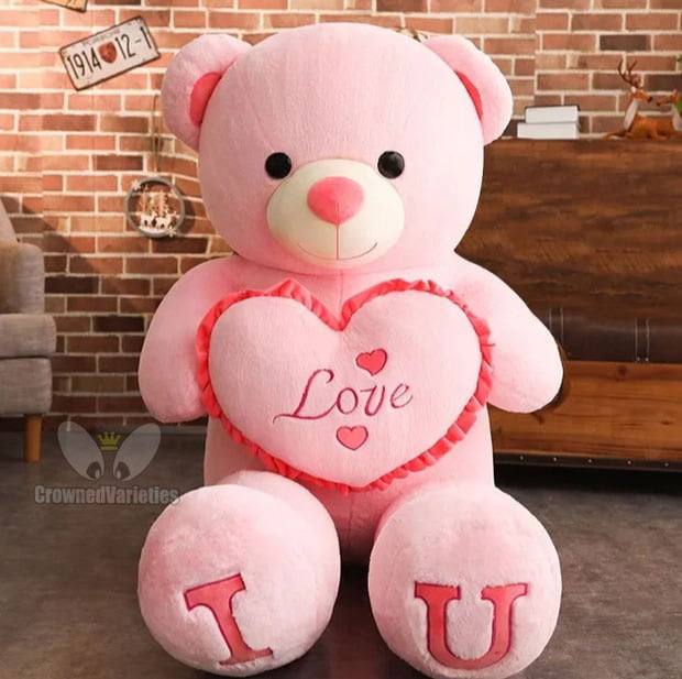 Mr. TEDDY Mr. TEDDY