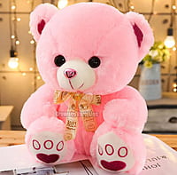 HOT GIFTY TEDDY BEAR HOT GIFTY TEDDY BEAR